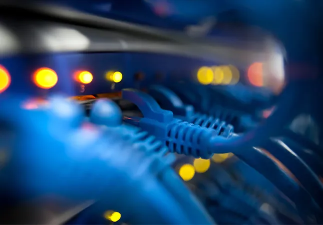 IT Specialist in Networking